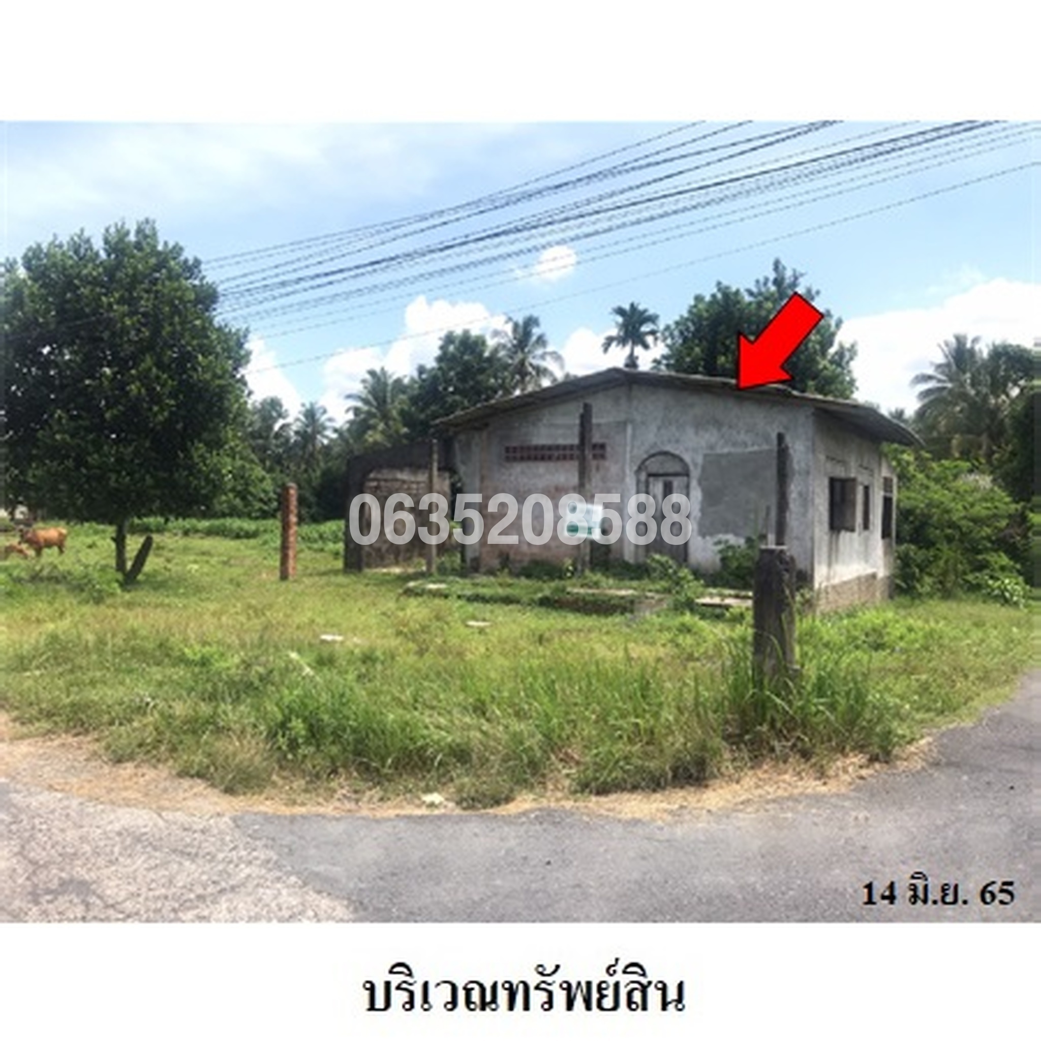 ขายบ้านเดี่ยว  ถนนธรรมเผด็จ-วังขรี (นศ.3022)