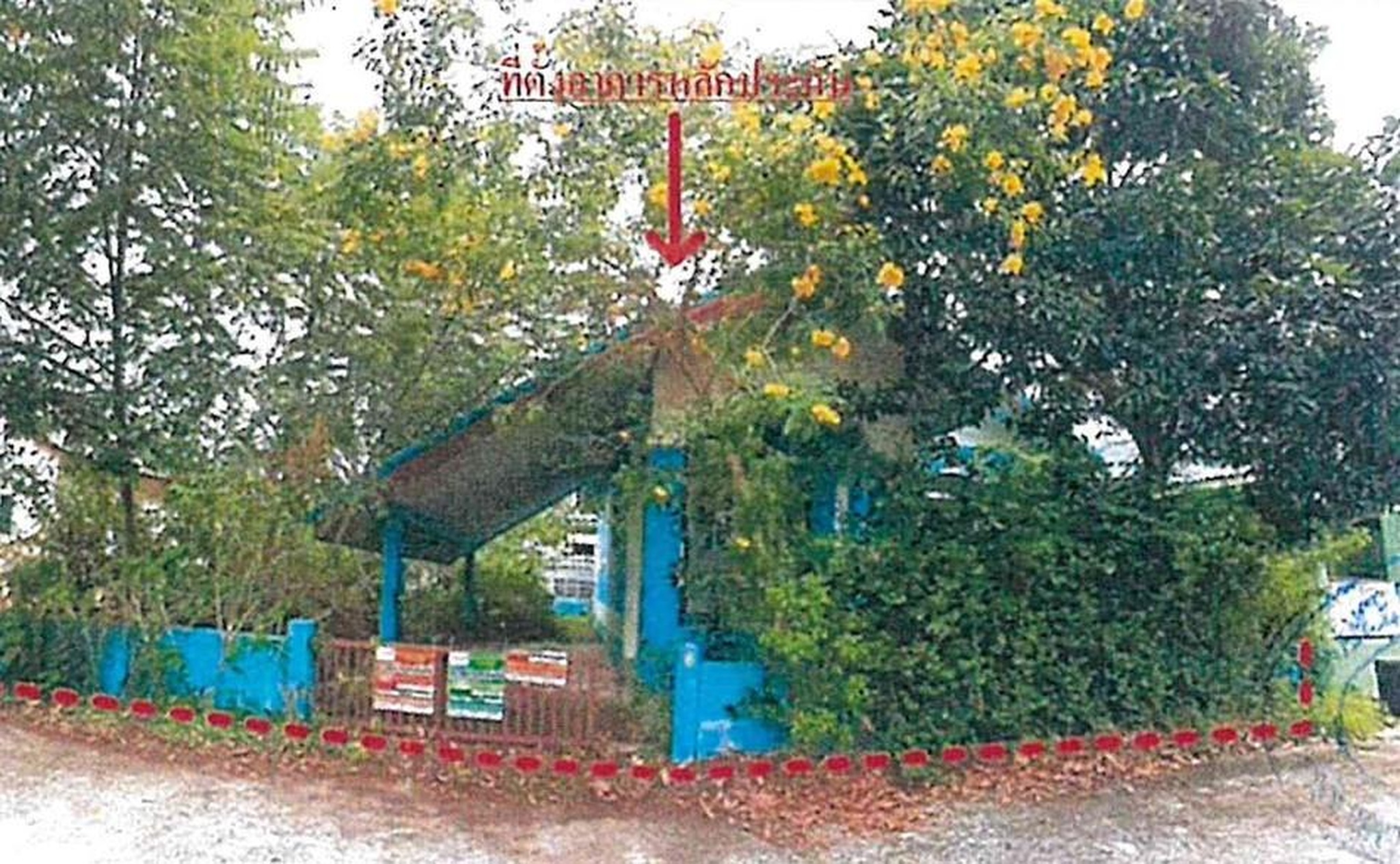 ทรัพย์สถาบันโดย ธอส. บ้านเดี่ยว บ้านสวนแสนสุข คลอง 29
