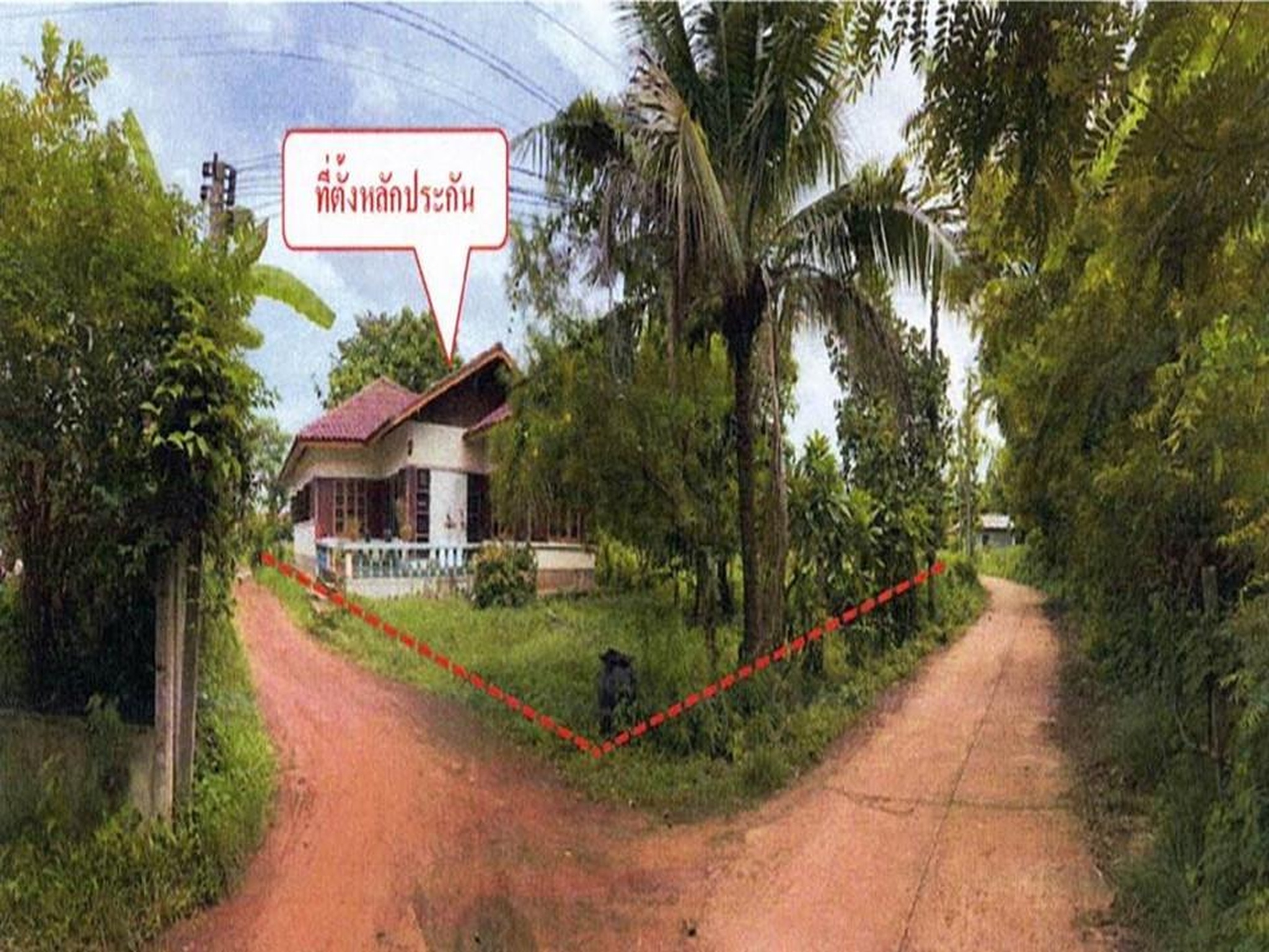 ทรัพย์สถาบันโดย ธอส. บ้านเดี่ยว ซอยหลวงชนบทบ.ตาล-บะหว้า ถนนสายบ้านเซือม-นาหว้า