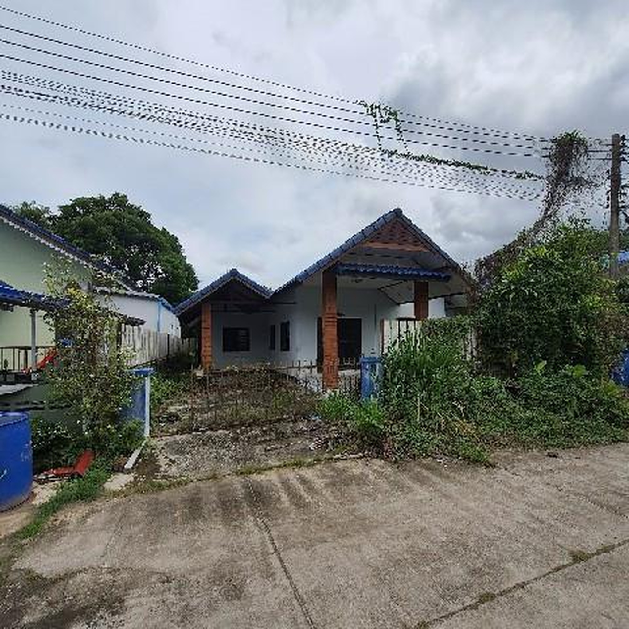 ทรัพย์สถาบันโดย ธอส. บ้านเดี่ยว เจนจิรา1