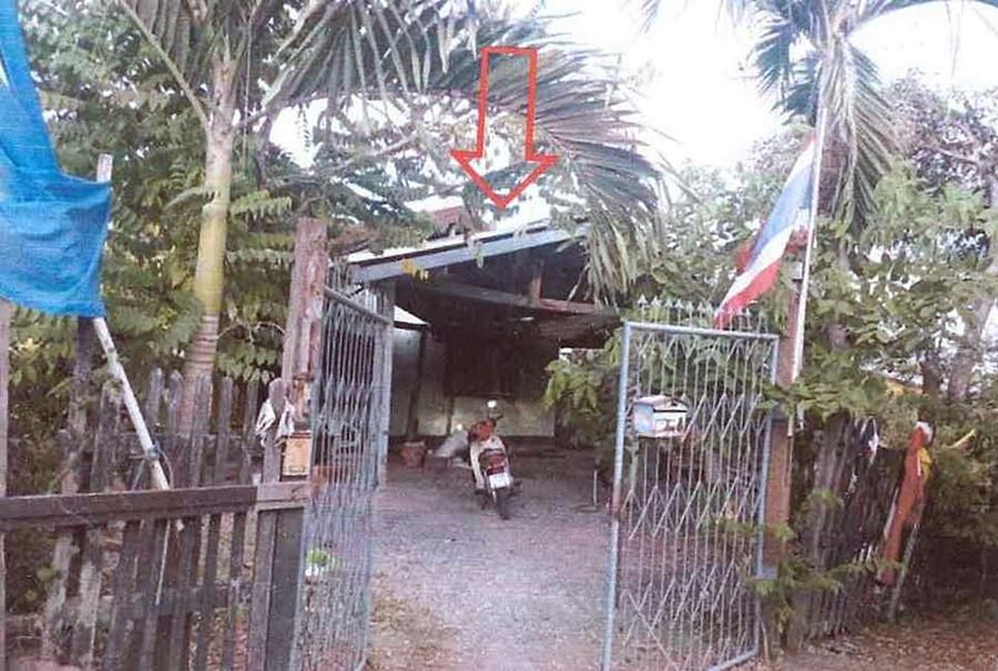 ทรัพย์สถาบันโดย ธอส. บ้านเดี่ยว  ถนนบางเเพ