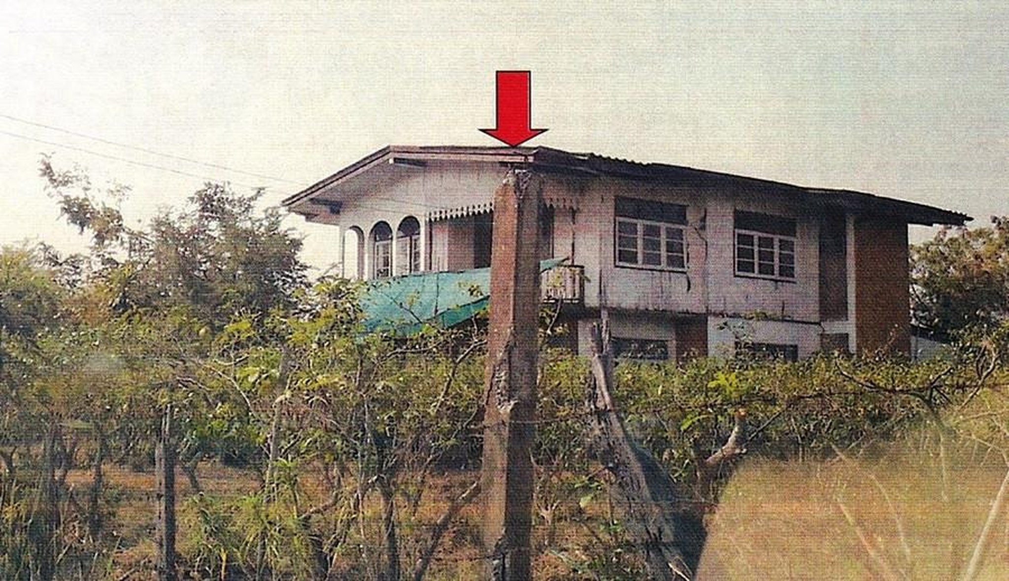 ทรัพย์สถาบันโดย ธอส. บ้านเดี่ยว บ้านไผ่ (Nature Ville Home Ban Phai)