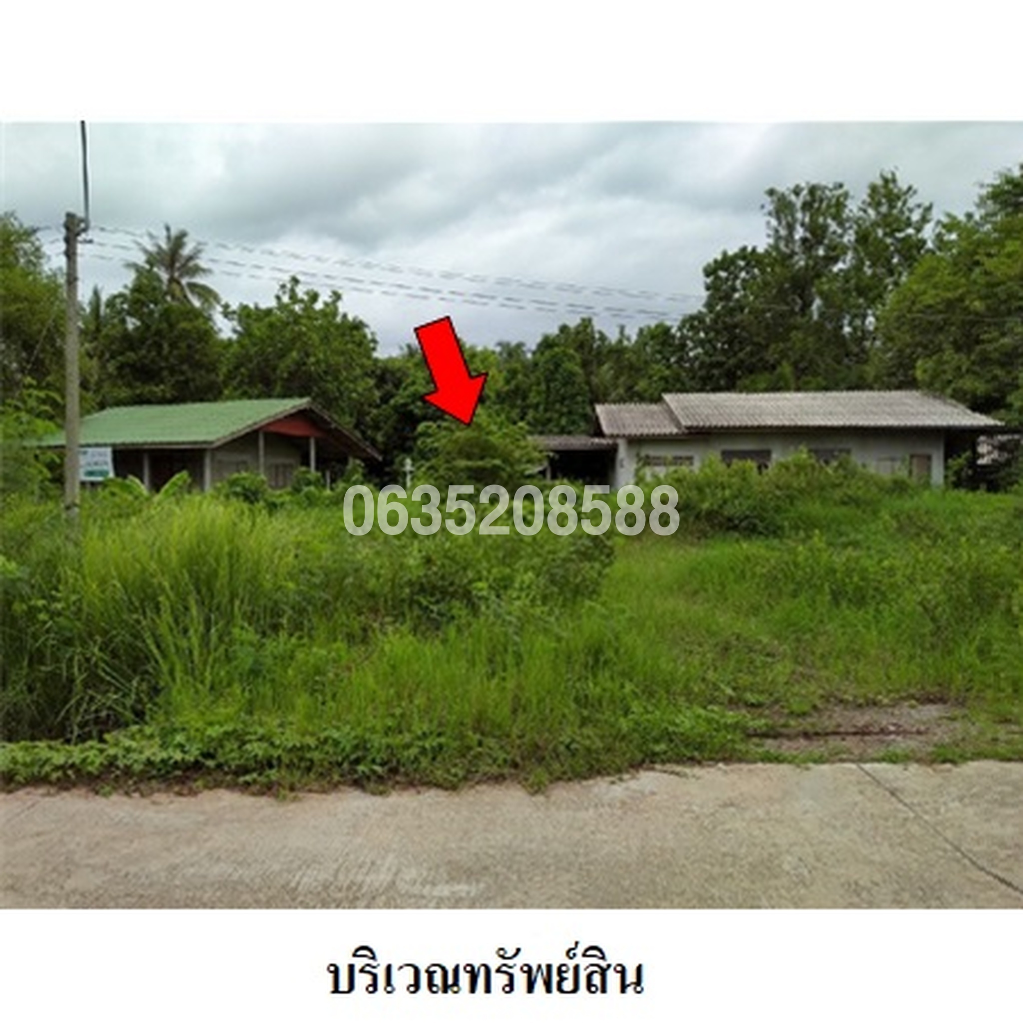 ขายบ้านเดี่ยว  ถนนไพรใหญ่-หนองตับเต่า