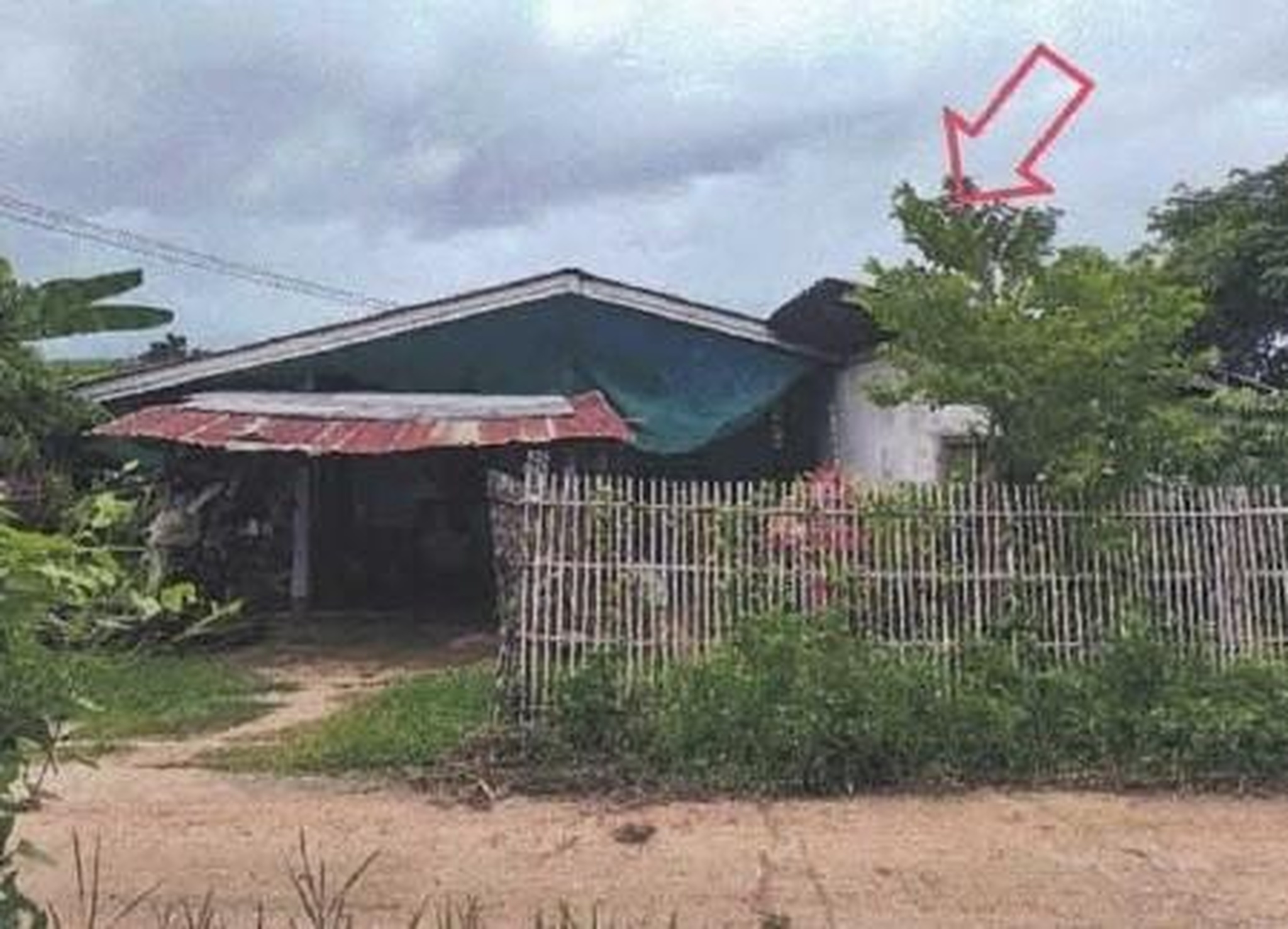 ทรัพย์สถาบันโดย ธอส. บ้านเดี่ยว บ้านปงใต้