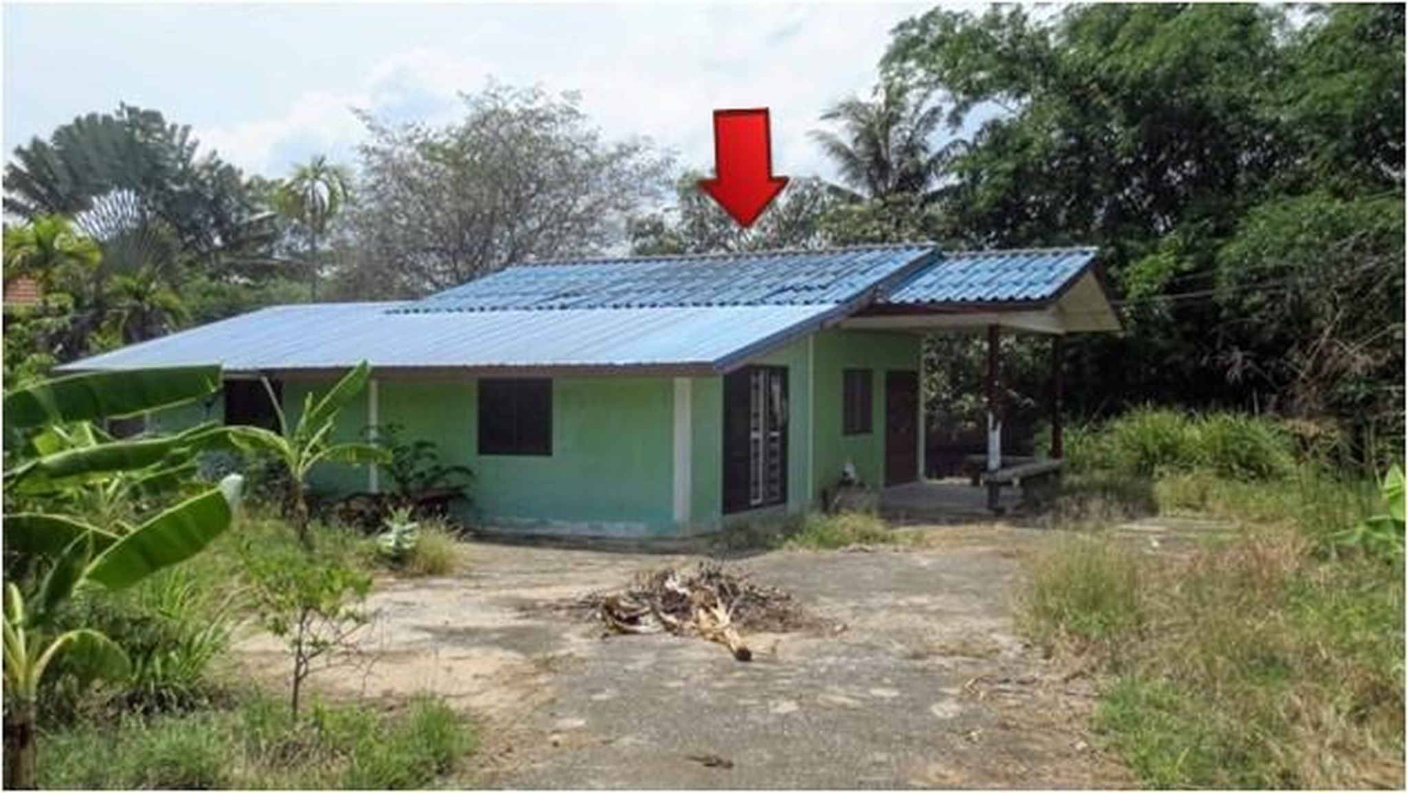 ขายบ้านเดี่ยว หนองบัว
