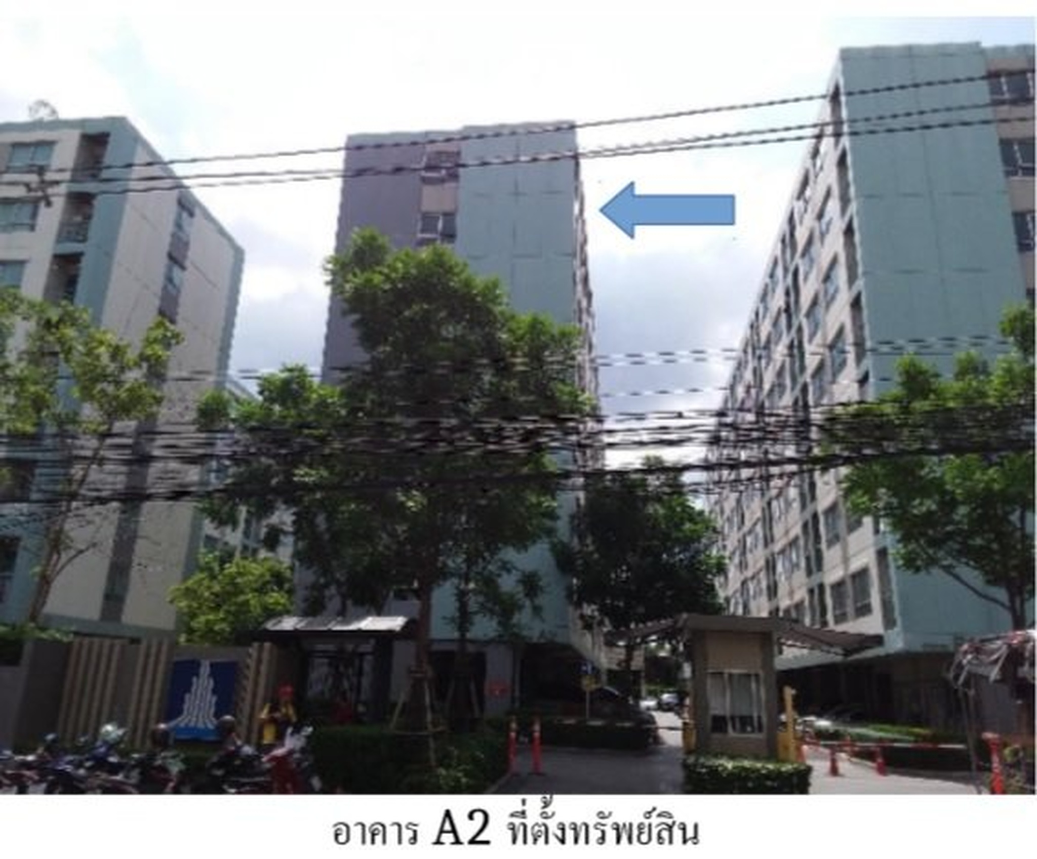 ทรัพย์สถาบันโดย SCB คอนโดติด BTS ปุณณวิถี ลุมพินี วิลล์ อ่อนนุช 46 (Lumpini Ville Onnut 46)