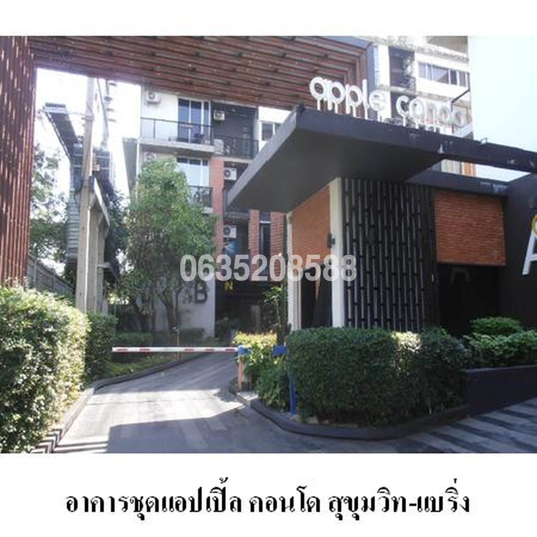ขายคอนโด แอปเปิ้ล คอนโด สุขุมวิท-แบริ่ง (Apple Condo Sukhumvit-Bearing)