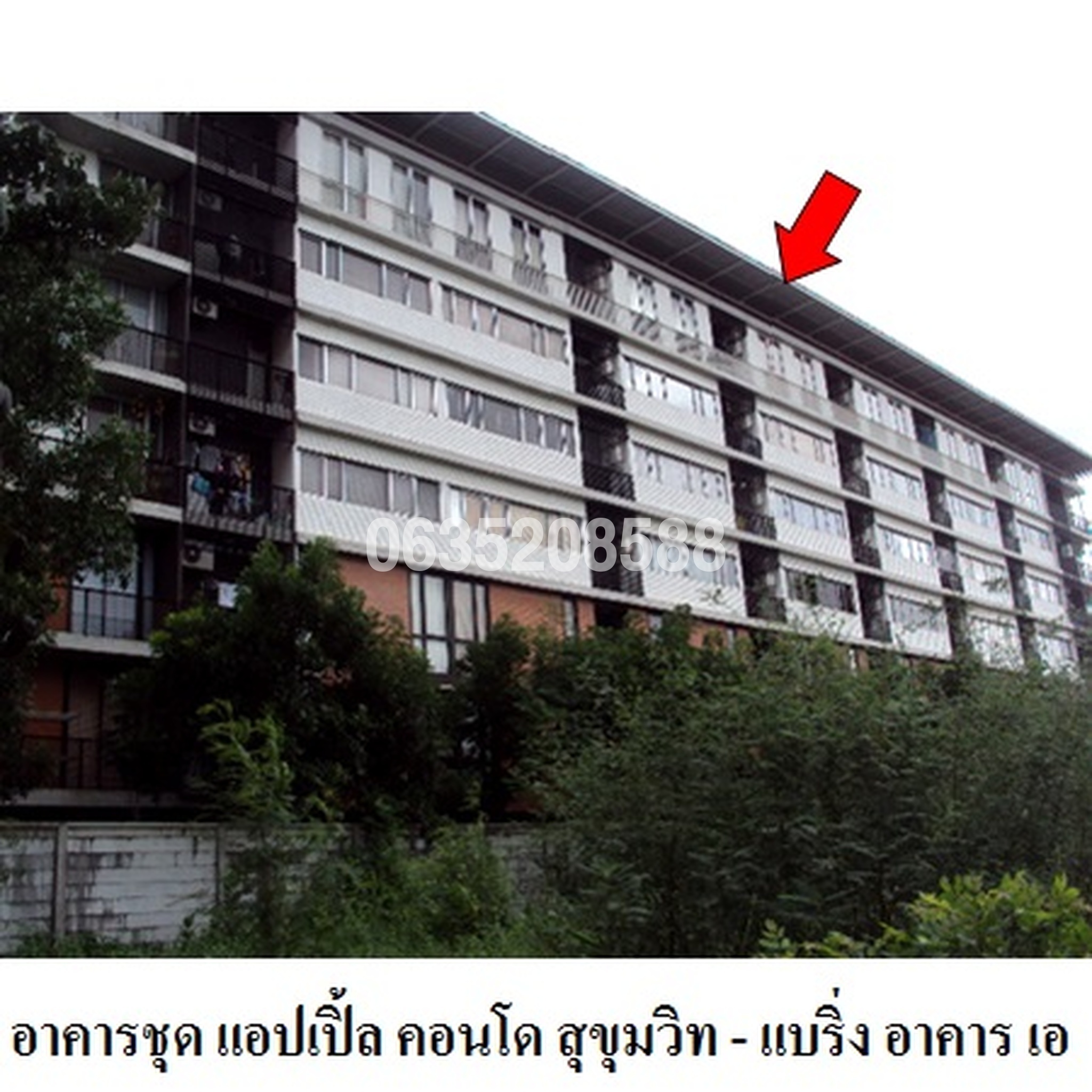 ขายคอนโด แอปเปิ้ล คอนโด สุขุมวิท-แบริ่ง (Apple Condo Sukhumvit-Bearing)