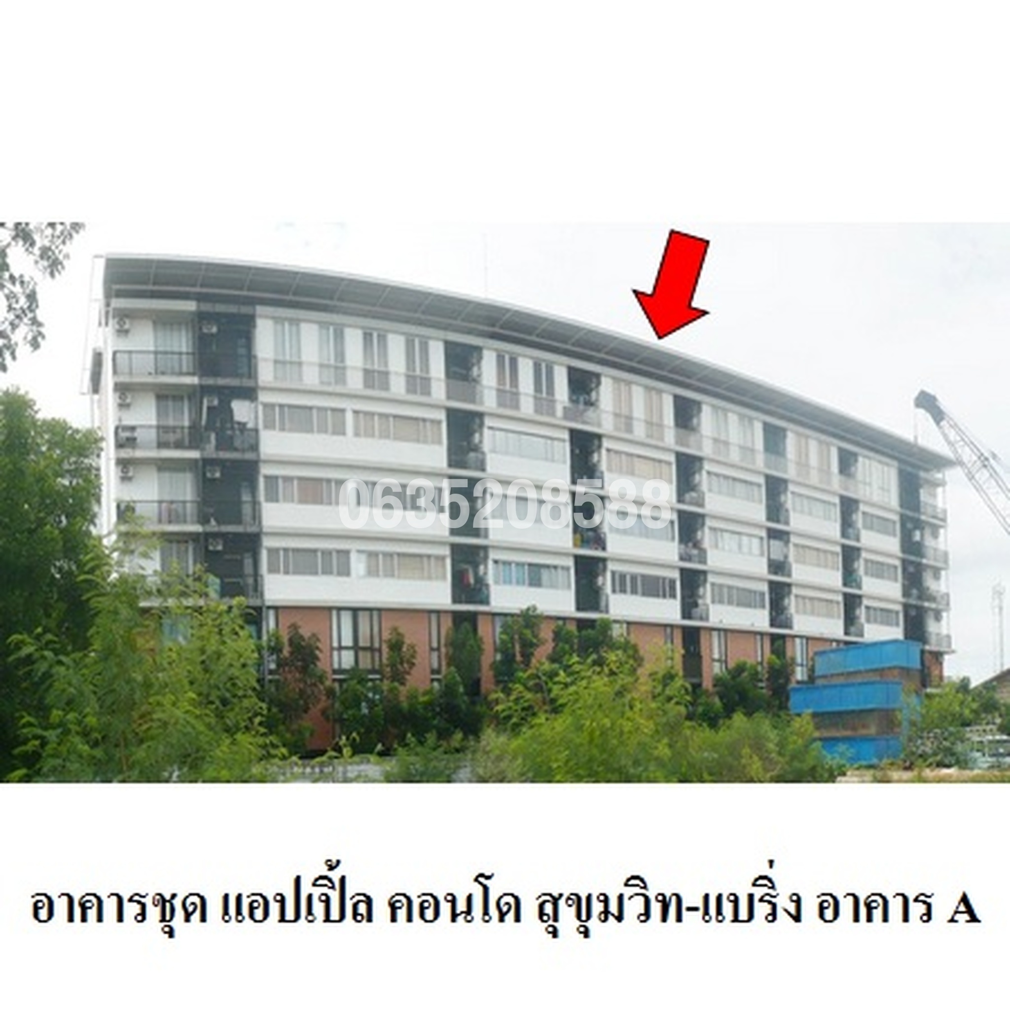 ขายคอนโด แอปเปิ้ล คอนโด สุขุมวิท-แบริ่ง (Apple Condo Sukhumvit-Bearing)