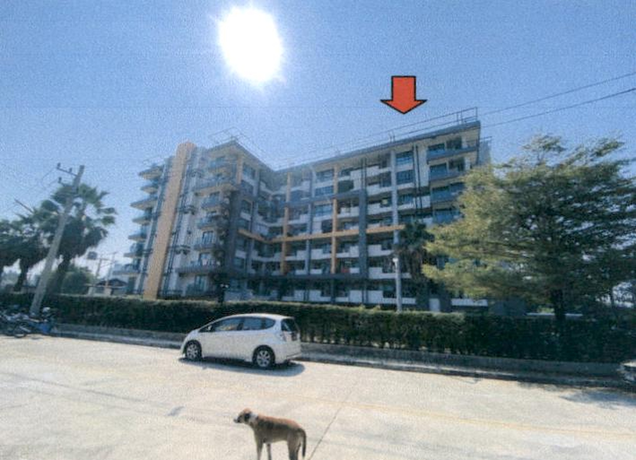 ทรัพย์สถาบันโดย GHB คอนโด ปันนา โอเอซิส เรสซิเดนซ์ 2 (Punna Oasis Residence 2)