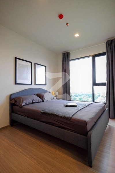 Life Asoke Hype, Rama 9, Bangkok, Thailand 10400 Owner Post (Rent)  -ห้องสวยพร้อมอยู่ -ขนาด 35 ตรม. ครัวปิด -ชั้น 30 วิวไม่บล๊อก : เจ้าของให้เช่าเอง (งดรับนายหน้า)