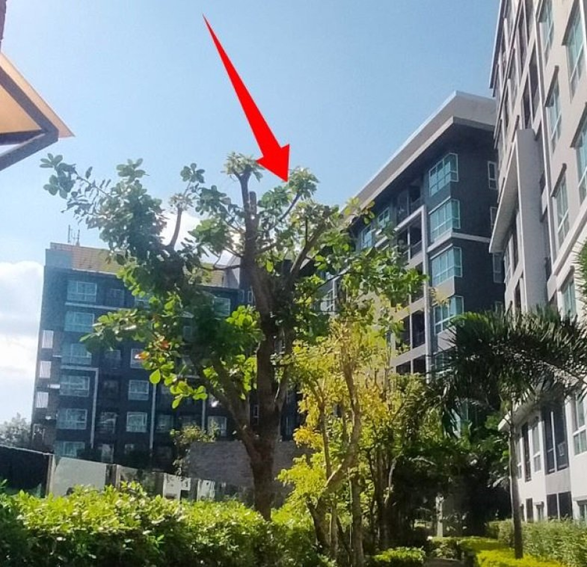 ทรัพย์สถาบันโดย SCB คอนโด เดอะ เชนจ์ รีแล็กซ์ คอนโด (The Change Relax Condo)