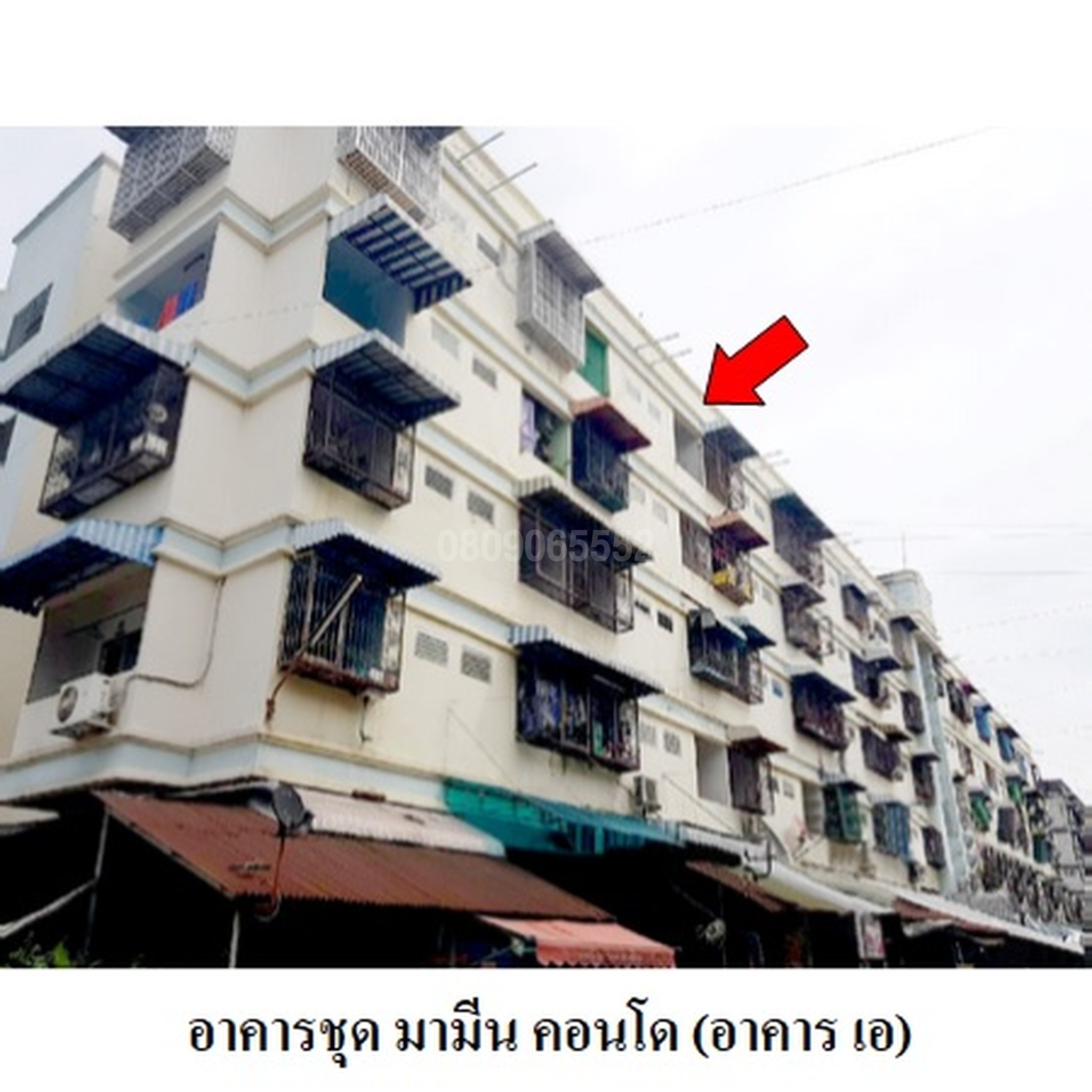ขายคอนโด มามีน คอนโด