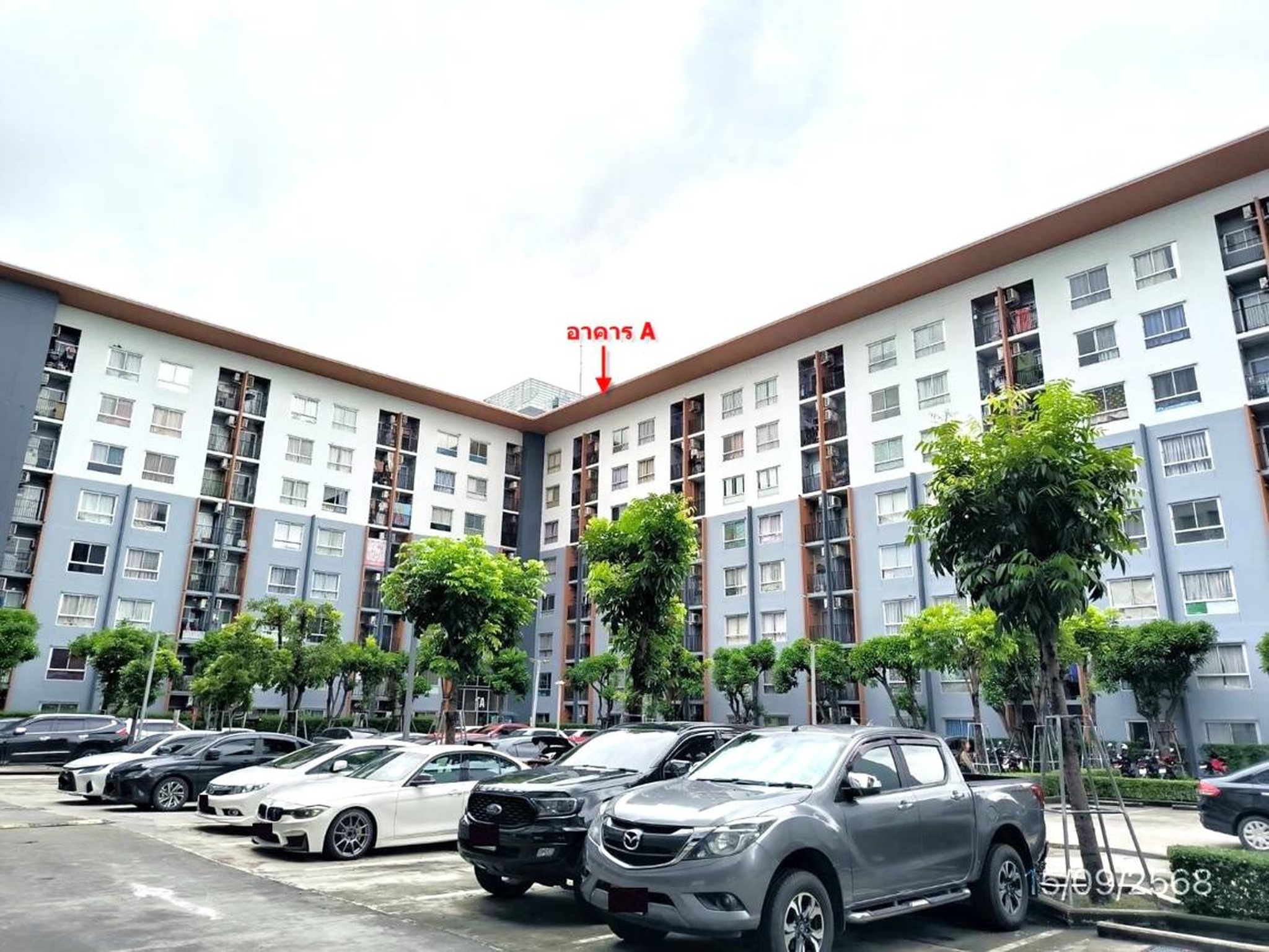 ทรัพย์สถาบันโดย KASIKORNBANK คอนโดใกล้ MRT คลองบางไผ่ พลัมคอนโด บางใหญ่ สเตชั่น เฟส 1 (Plum Condo Bangyai Station Phase 1)