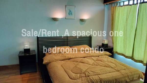 A Spacious One Bedroom 58.15 sq.m of Living Area and 2.93 metre of Ceiling High. 15th.floor. Facing South , unblocked view. : โดยนายหน้า/ตัวแทน