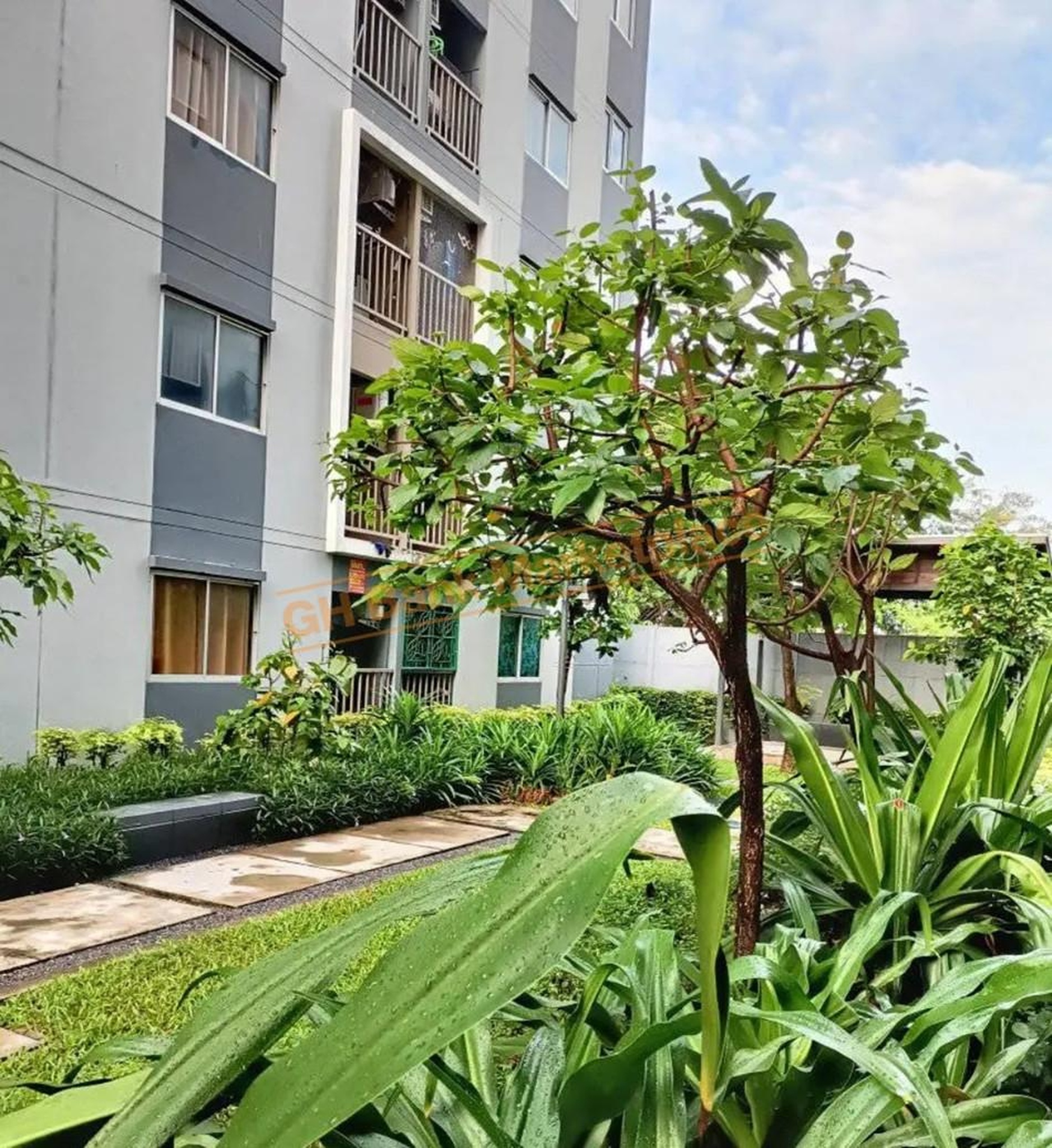 ทรัพย์สถาบันโดย GHB คอนโด เดอะ พอยต์ คอนโด รังสิต-คลอง 6 (The Point Condo Rangsit-Klong 6)