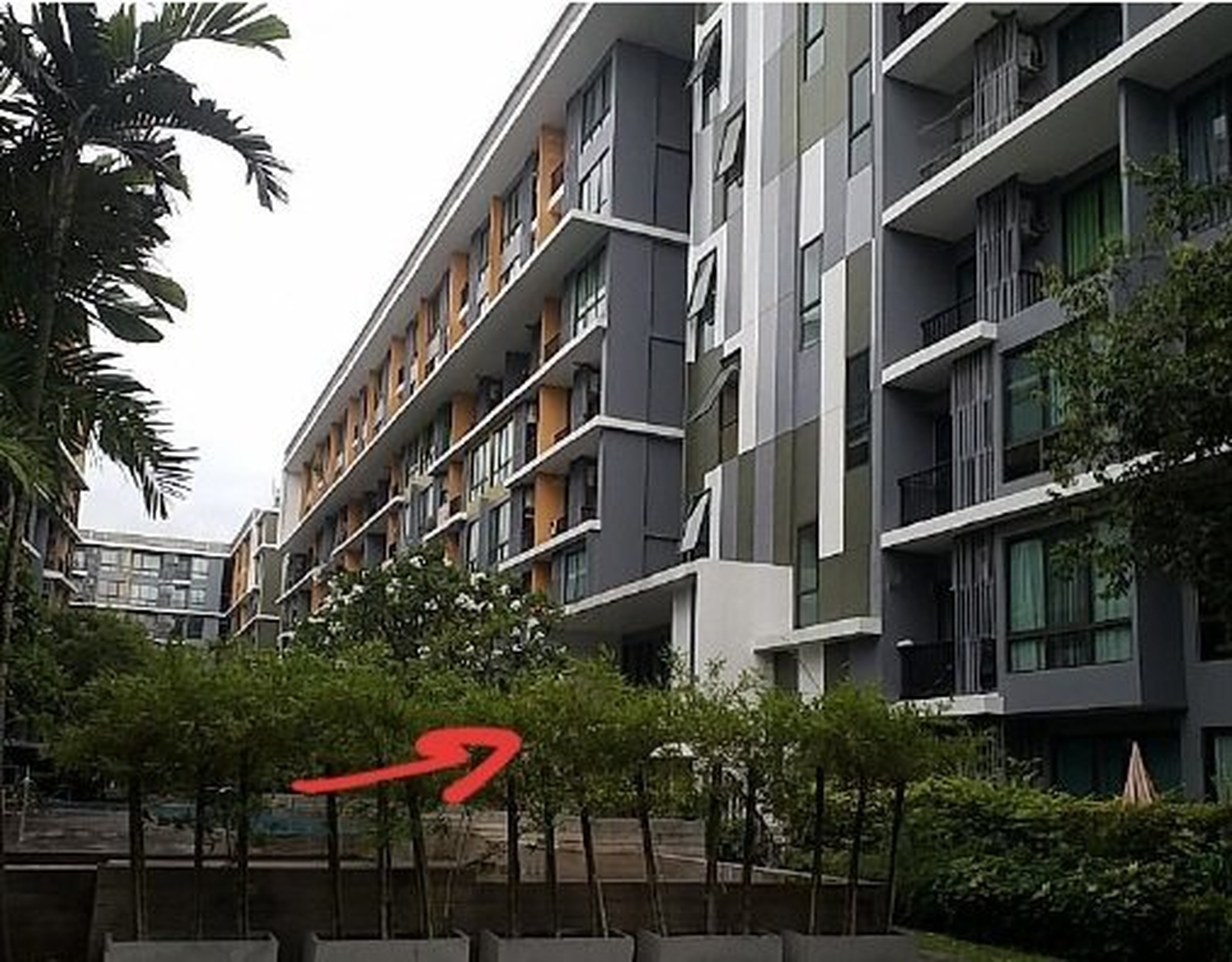 ทรัพย์สถาบันโดย SCB คอนโดใกล้ YL16 ศรีอุดม ไอคอนโด สุขุมวิท 103 (iCondo Sukhumvit 103)