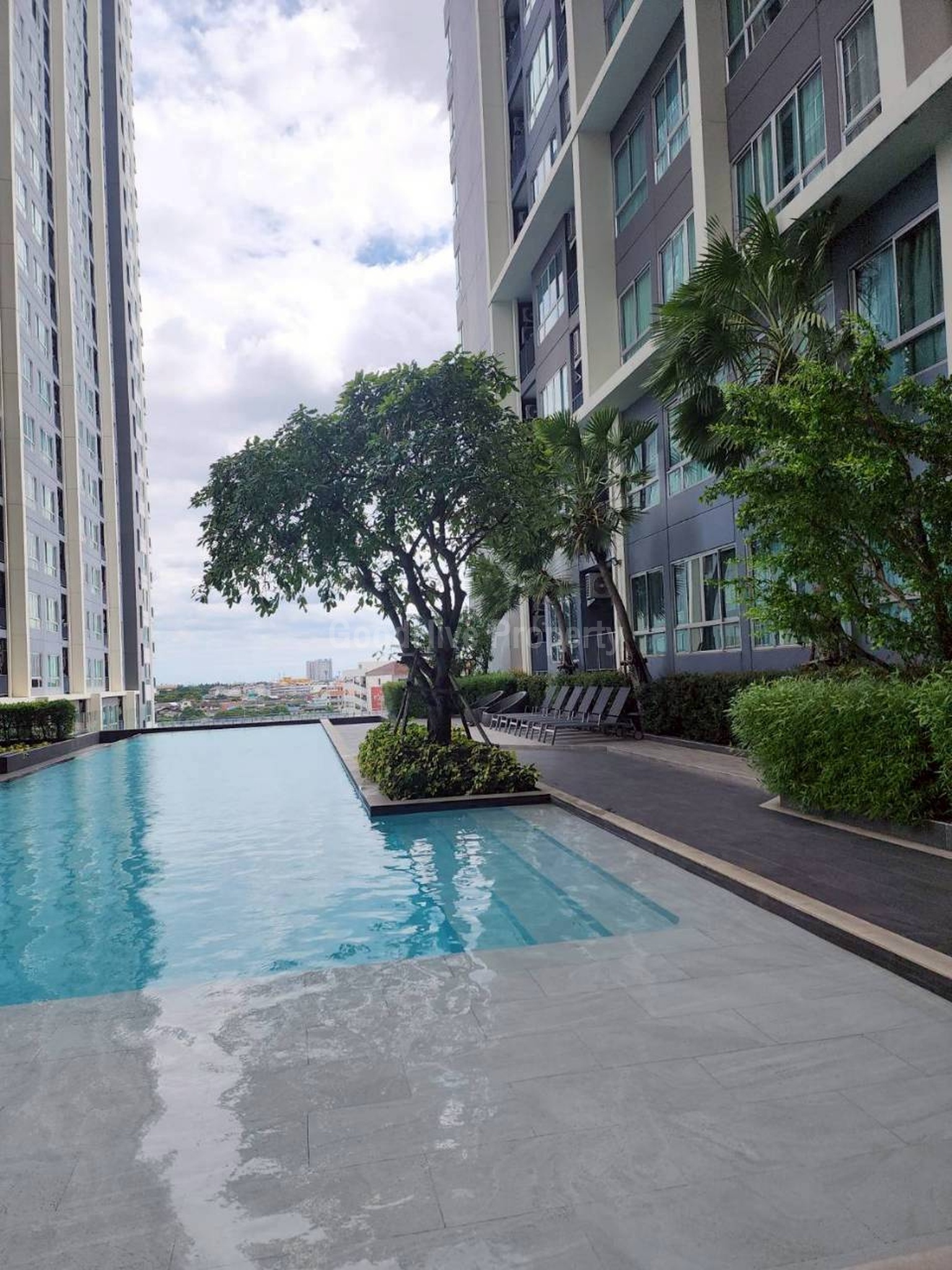 Condo for rent The prodigy mrt bangkae 2 bed 2 bath near Seacon Bangkae and The mall Bangkae : โดยนายหน้า/ตัวแทน
