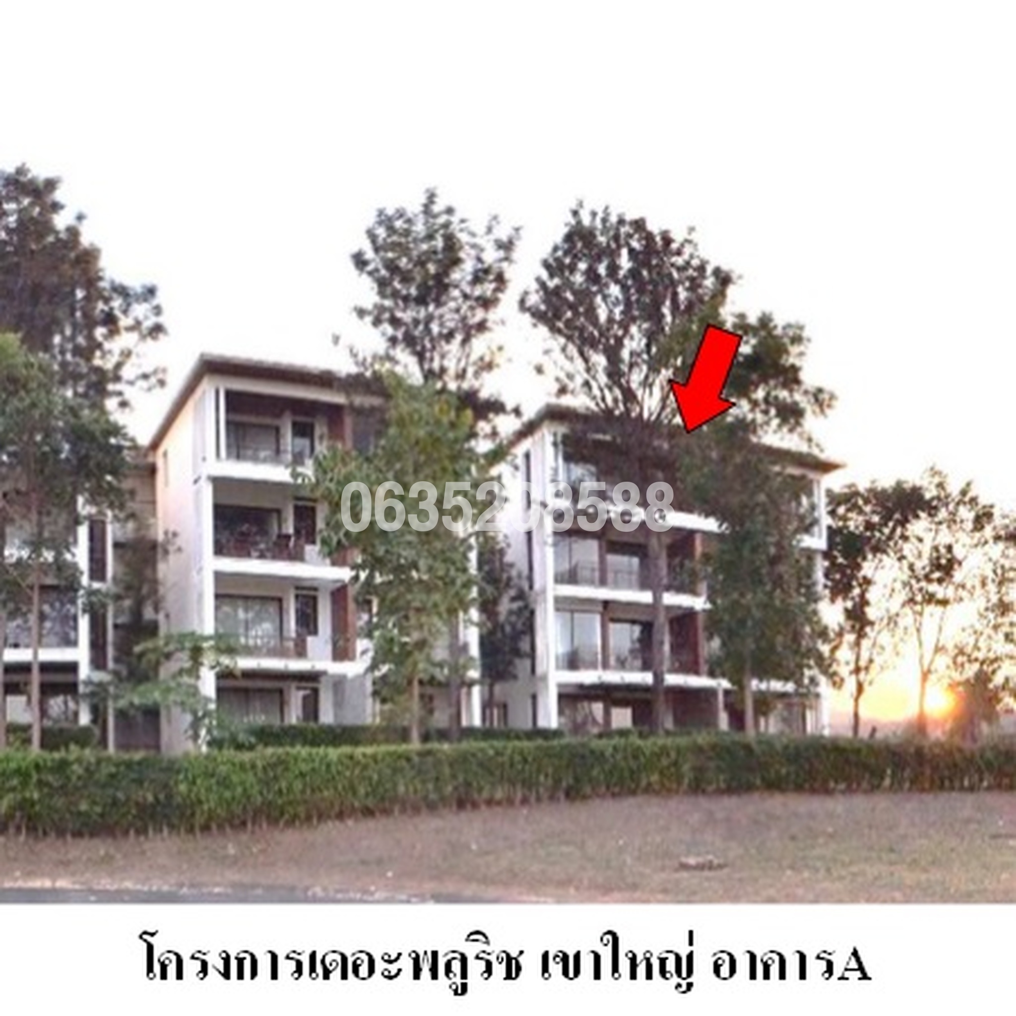 ขายคอนโด เดอะ พลูริส เขาใหญ่ (The Pluris Khaoyai)