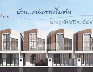 เอเบิล อุดมสุข 50 ABLE Udomsuk 50
