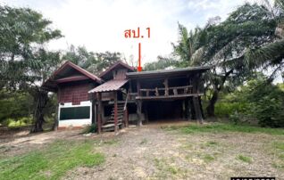 ทรัพย์ธนาคารโดย KASIKORNBANK บ้านเดี่ยว ถนนแจ้งสนิท (ทล.23)