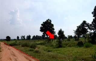 ทรัพย์สถาบันโดย บริษัท บริหารสินทรัพย์สุขุมวิท จำกัด ที่ดิน ถนนสายบ้านโนนสาทร-หนองปลาเฒ่า (ชย.2004)