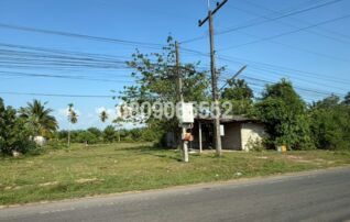 ทรัพย์สถาบันโดย JAM บ้านเดี่ยว นอกโครงการกระบี่