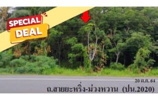 ทรัพย์สถาบันโดย บริษัท บริหารสินทรัพย์สุขุมวิท จำกัด ที่ดิน ถนนสายยะหริ่ง-ม่วงหวาน (ปน.2020)