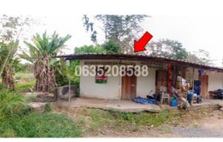 ขายบ้านเดี่ยว ถนนฉวาง-บ้านส้อง (ทล.4015)