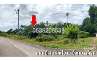 ขายบ้านเดี่ยว ถนนบ้านส้มเฟือง - บ้านบางด้วน
