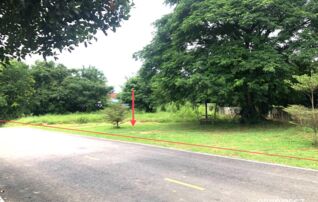 ทรัพย์ธนาคารโดย KASIKORNBANK ที่ดิน ซอยเทศบาล 33 ถนนสายบางระกำ - วังเป็ด (พล.3004)