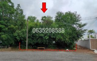 ขายบ้านเดี่ยว ปัญญา รีสอร์ท คันทรีคลับ