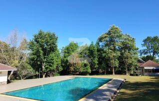 ให้เช่าvillaพร้อมที่ดินขนาดใหญ่ 24 ไร่ โอบล้อมด้วยธรรมชาติเหมาะพัฒนาเป็นรีสอร์ทและwellness ติดถนนเดินทางสะดวก : เจ้าของให้เช่าเอง
