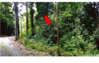 ทรัพย์สถาบันโดย บริษัท บริหารสินทรัพย์สุขุมวิท จำกัด ที่ดิน กระทิง คันทรี รีสอร์ท