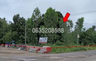 ขายที่ดิน ถนนสายนิคมลำโดมน้อย-โนนสมบูรณ์