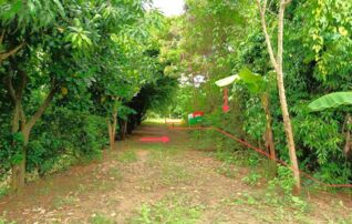 ทรัพย์ธนาคารโดย KASIKORNBANK ที่ดิน ซอยเทศบาล 14 ถนนสายสากเหล็ก - บ้านมุง (ทล.1115)