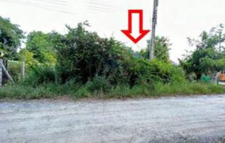 ทรัพย์สถาบันโดย GHB บ้านเดี่ยว พานทอง ชลบุรี
