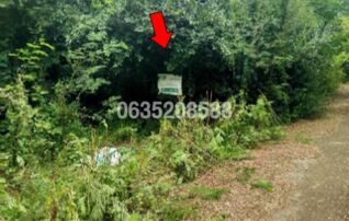ขายที่ดิน สปริงฟิลด์ รอยัลคันทรีคลับ