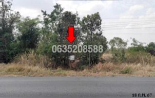 ขายที่ดิน ถนนสายบ้านห้วยทราย-บ้านห้วยบง (นม.3059)