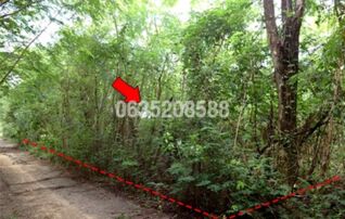 ขายที่ดิน เพชรบูรณ์ฮิลล์ แอนด์ การ์เด้น