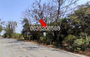 ขายที่ดิน ถนนสายบ้านโนนหมัน-บ้านมะดัน