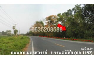 ขายที่ดิน ถนนนครสวรรค์-บรรพตพิสัย (ทล.1182)