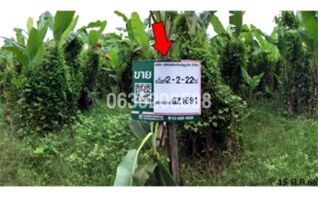 ขายที่ดิน ถนนสายศรีสำโรง-บ้านสวน (ทล.1054)