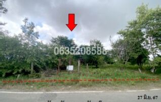 ขายบ้านเดี่ยว ถนนสายบ้านคุ้มกลาง-บ้านโพนงาม (มค.3058)