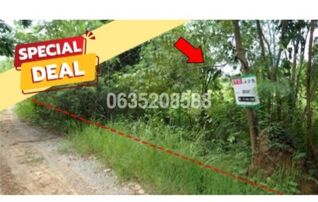ขายที่ดิน เพชรบูรณ์ฮิลล์ แอนด์ การ์เด้น