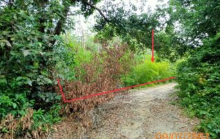 ทรัพย์ธนาคารโดย KASIKORNBANK ที่ดิน ถนนสายทรายขาว - บ่อม่วง (ทล.4042)
