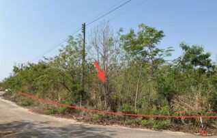 ทรัพย์สถาบันโดย KASIKORNBANK ที่ดิน โครงการภูริพิมาน