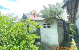 ทรัพย์ธนาคารโดย KASIKORNBANK บ้านเดี่ยว ซอยโคกกอ ถนนสายคลองพน - ท่ามะพร้าว (ทล.4043)