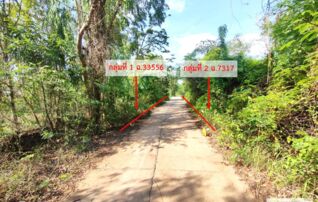 ทรัพย์ธนาคารโดย KASIKORNBANK ที่ดิน ถนนสายบ้านโนนสะอาด-นาขาม (นพ.3048)