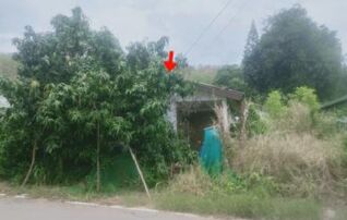 ทรัพย์สถาบันโดย GHB บ้านเดี่ยว สถาพรแลนด์ 5 (Baan Samakkhi 45)